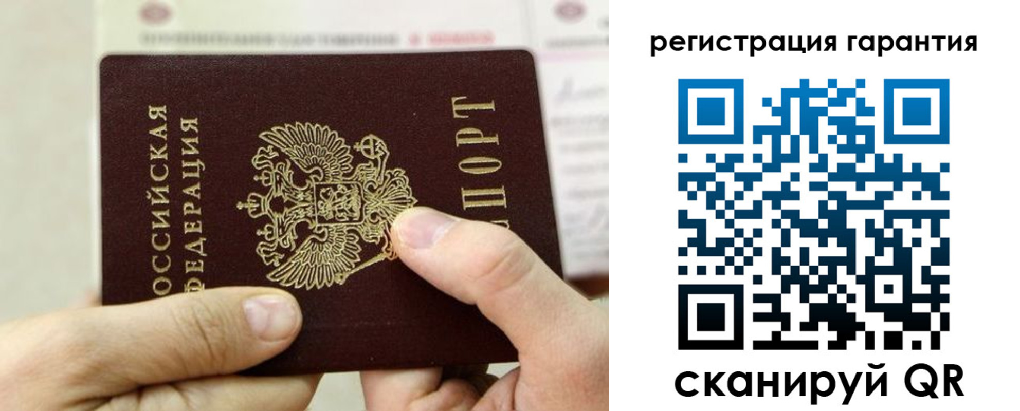 прописка для работы в Светлогорске