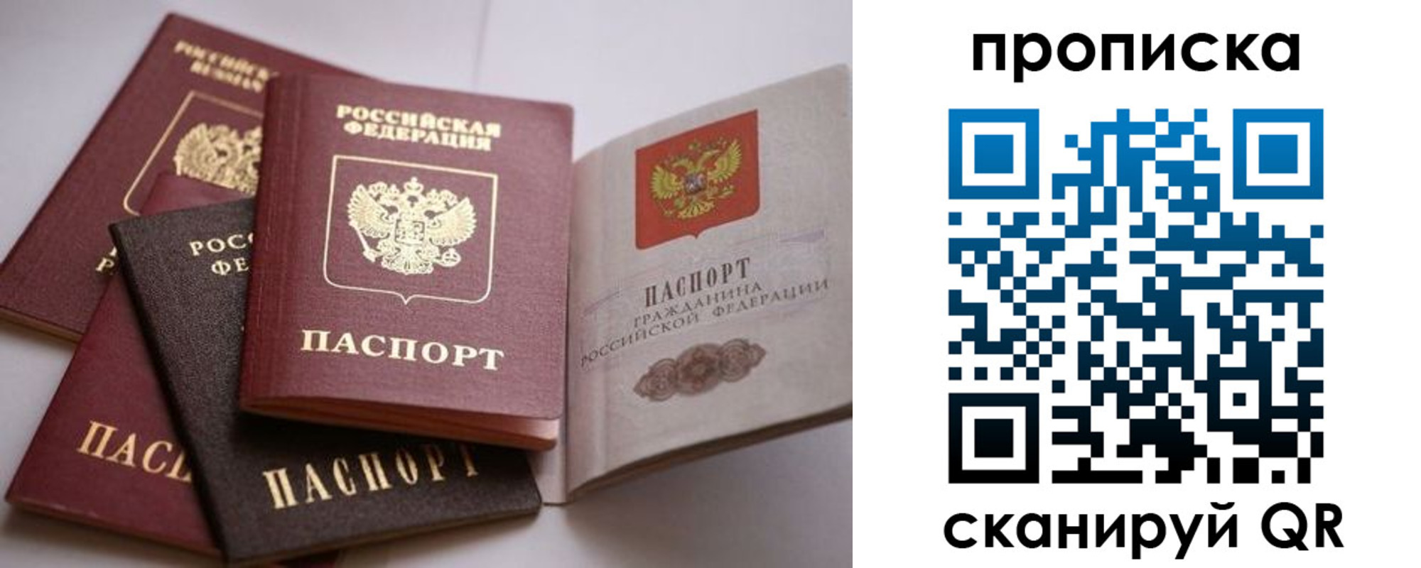 прописка ребенка в Светлогорске